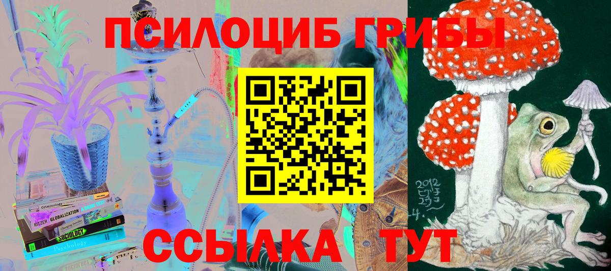 Коркино  Галлюциногенные грибы мухоморы  Вход с VPN 
