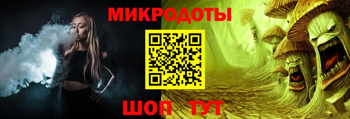 Псилоцибиновые грибы Psilocybe Коркино
